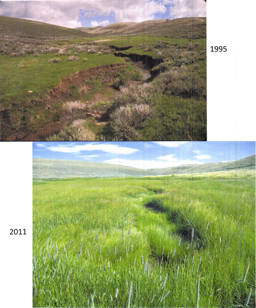 Comparison of Fish Creek barren terrain in 1995 to green terrain in 2011
