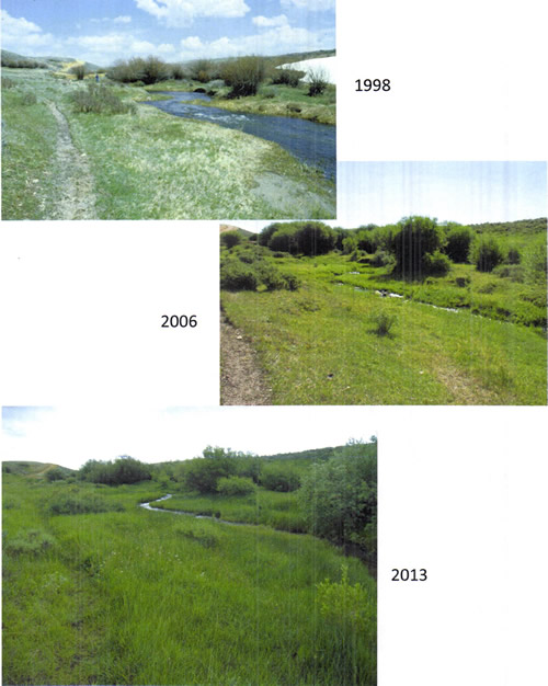 Comparison of McKinney Creek barren terrain in 1998 as it becomes more lush in 2006 and more so in 2013